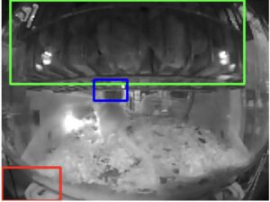 The neural network at work: food level is in green, bottle detection is in blue , and cage detection is in red
