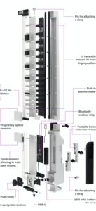 Split view of the Jammy E