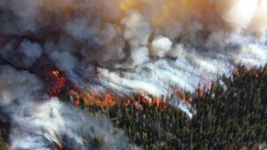 Forest fire in Yellowstone National Park, Wyoming, USA