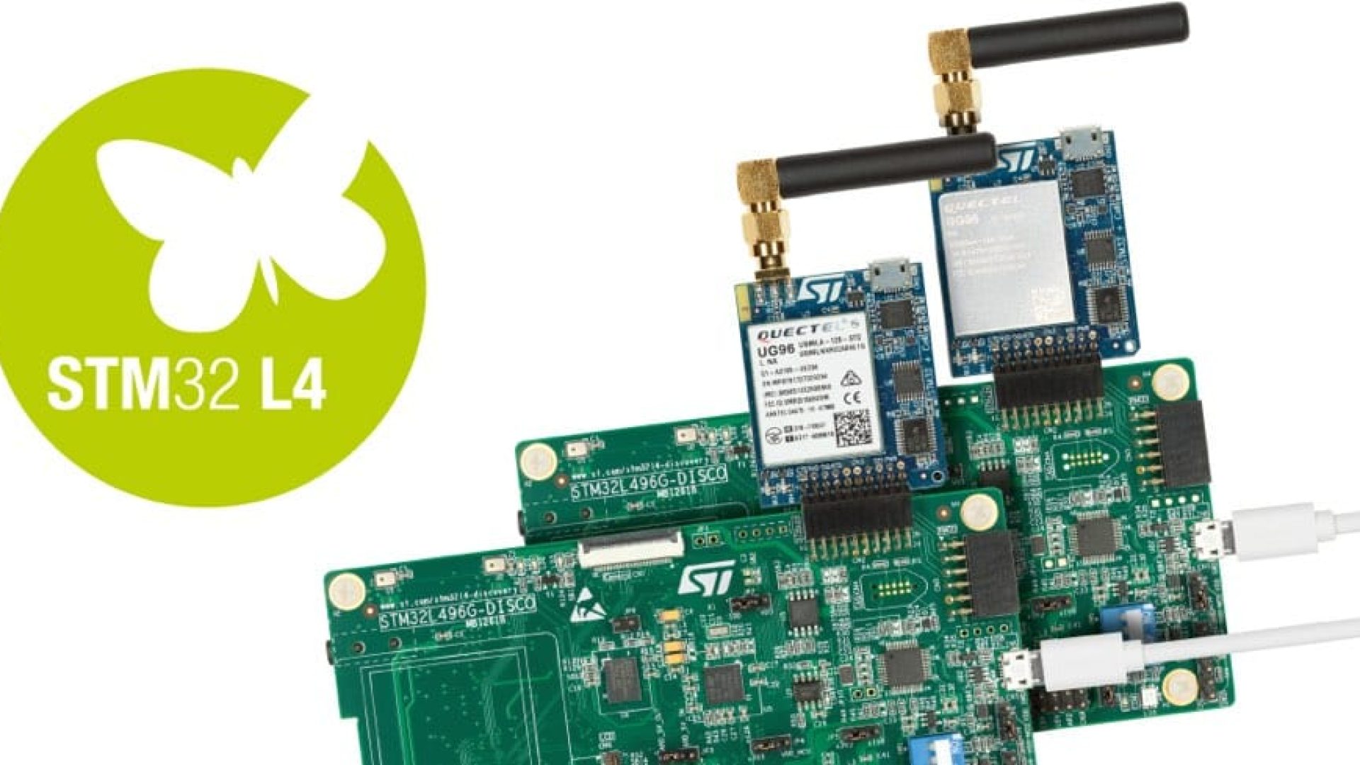 P-L496G-CELL01 and P-L496G-CELL02