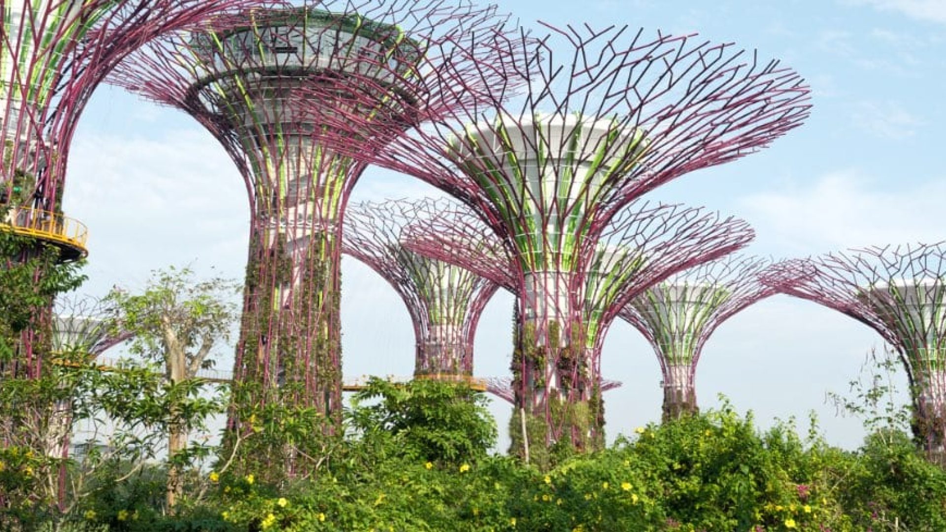 ST12918_shutterstock_281516324_2.5397c24e353c42edbdf34e9d356df8bf