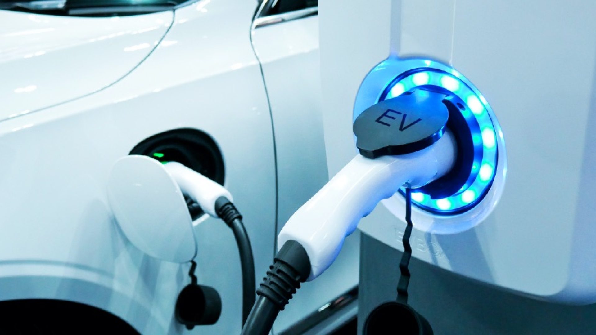 banner.398e862a80d6457d8de05b2ae80d73cf