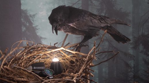 fusiontlc-raven-hero-1